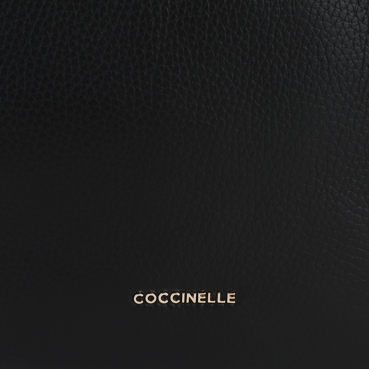Кожаный рюкзак Coccinelle CoccinelleGleen