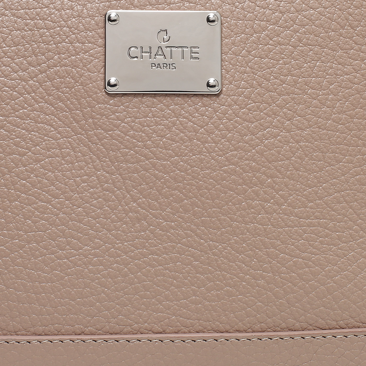 Сумочка из кожи Chatte Lion