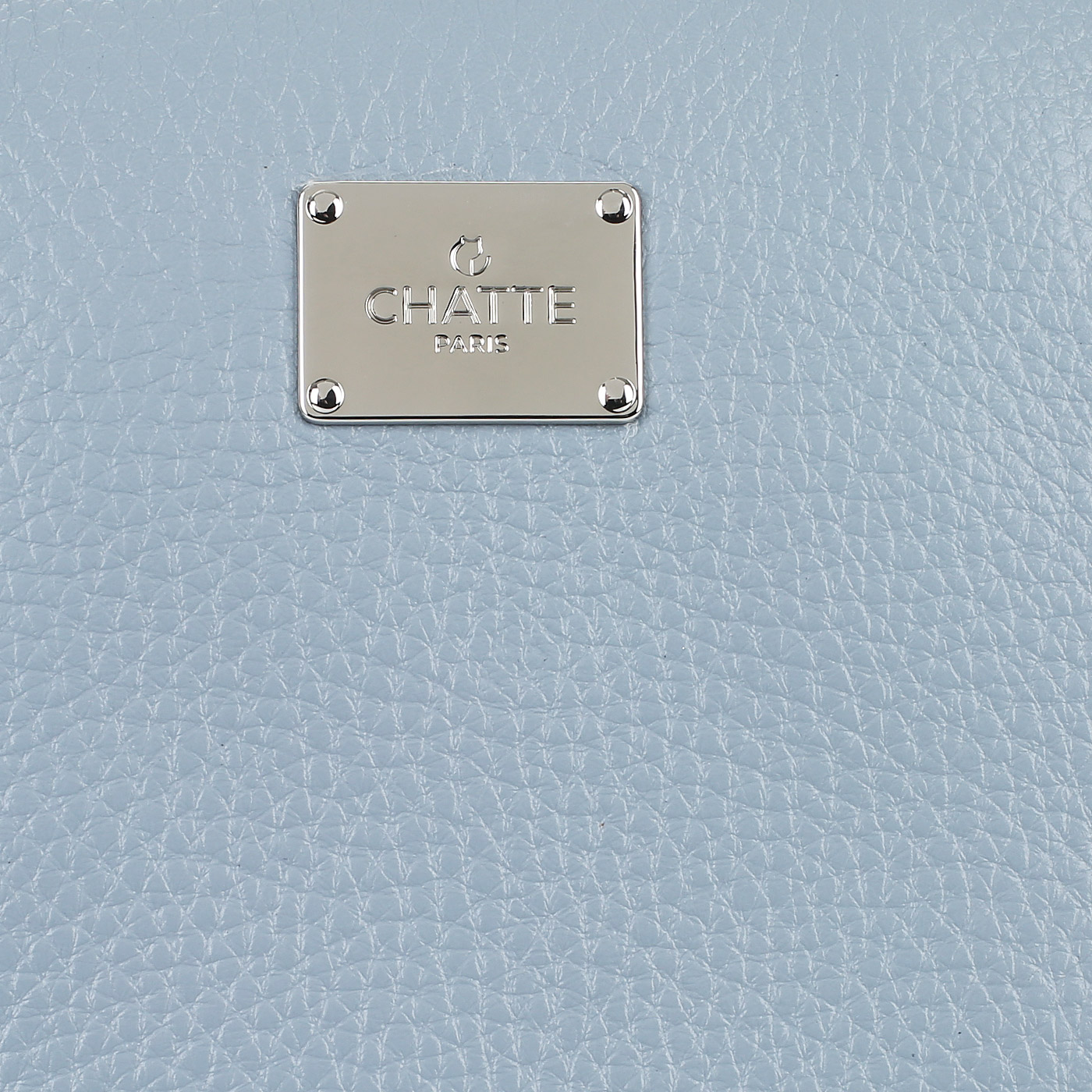 Женский рюкзак из натуральной кожи Chatte Lion