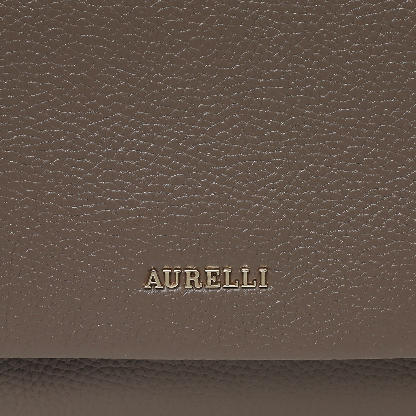 Кожаная сумка Aurelli Soft