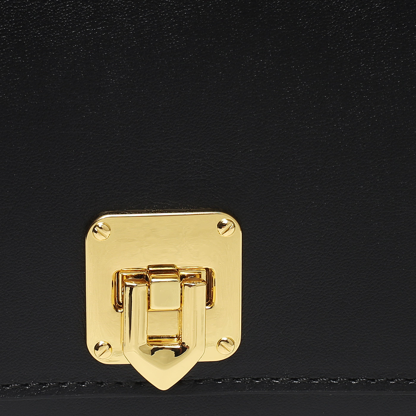 Кожаная сумка Chatte Marseille