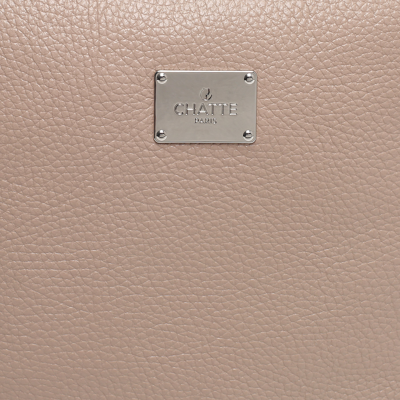 Кожаный рюкзак на молнии Chatte Lion